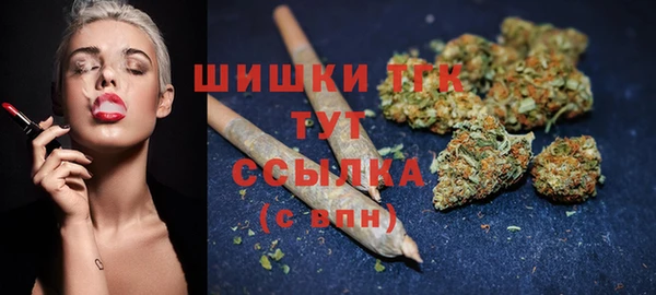 mix Бородино